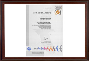 OHSAS18001健康認證